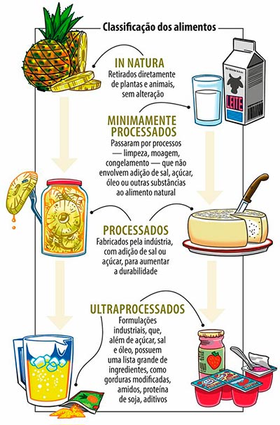 Tipos de alimentos